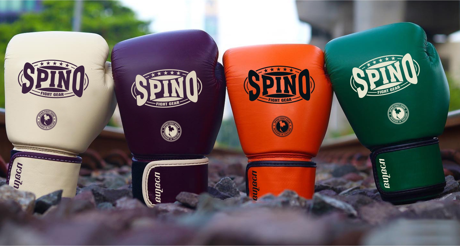 Boxing Gloves Closeup